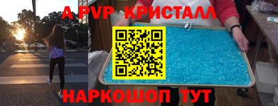 индика Тара